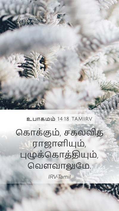 உபாகமம் 14:18 TAMIRV Mobile Phone Wallpaper - கொக்கும், சகலவித - Mobile Bible Verse Wallpaper