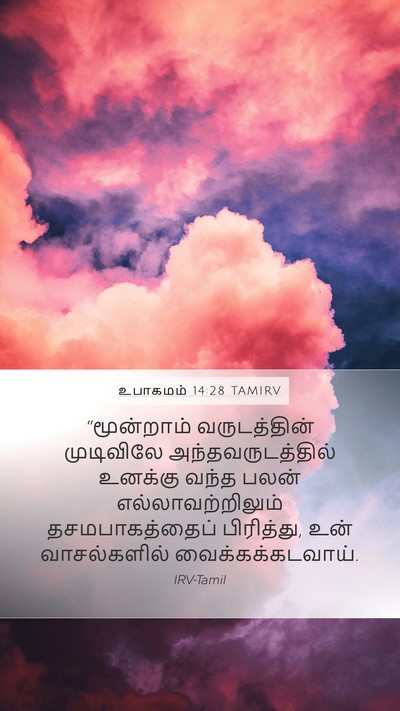 உபாகமம் 14:28 TAMIRV Bible Verse Image
