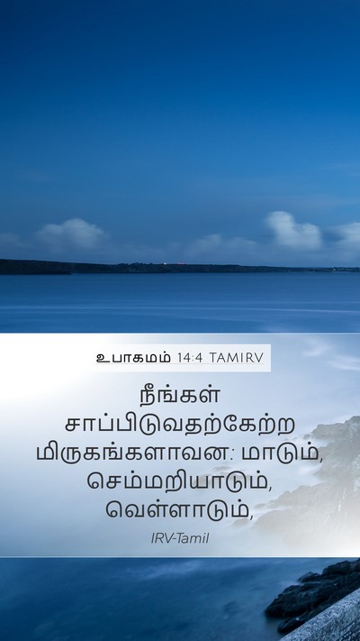 உபாகமம் 14:4 TAMIRV Mobile Phone Wallpaper - நீங்கள் - Mobile Bible Verse Wallpaper