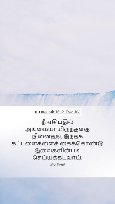 உபாகமம் 16:12 TAMIRV Bible Verse Image