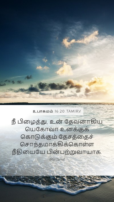 உபாகமம் 16:20 TAMIRV Mobile Phone Wallpaper - நீ பிழைத்து, உன் - Mobile Bible Verse Wallpaper