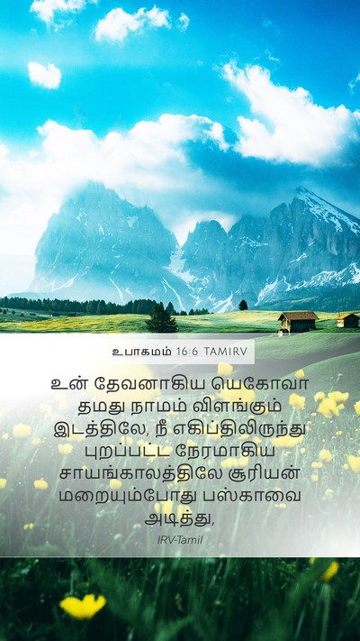 உபாகமம் 16:6 TAMIRV Bible Verse Image