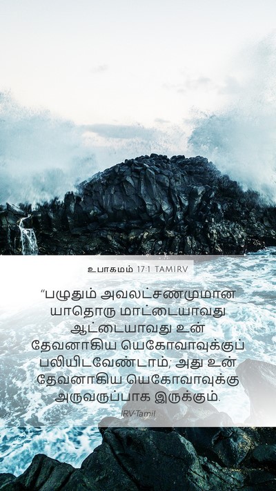 உபாகமம் 17:1 TAMIRV Mobile Phone Wallpaper - “பழுதும் - Mobile Bible Verse Wallpaper