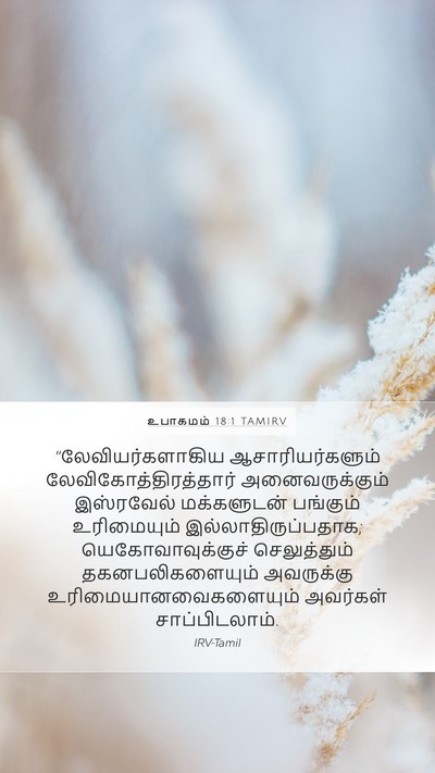 உபாகமம் 18:1 TAMIRV Mobile Phone Wallpaper - “லேவியர்களாகிய - Mobile Bible Verse Wallpaper