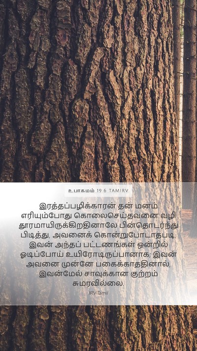 உபாகமம் 19:6 TAMIRV Bible Verse Image