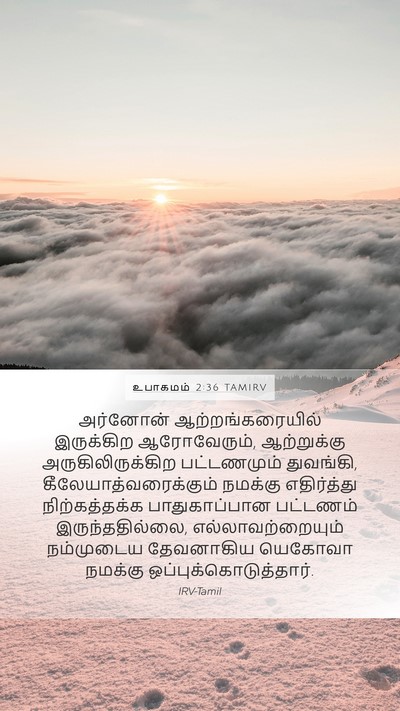 உபாகமம் 2:36 TAMIRV Bible Verse Image