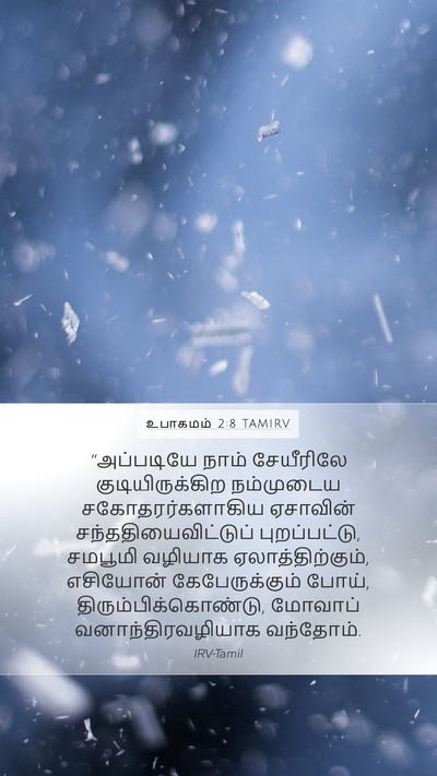 உபாகமம் 2:8 TAMIRV Bible Verse Image