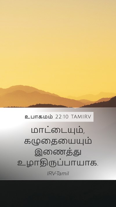 உபாகமம் 22:10 TAMIRV Mobile Phone Wallpaper - மாட்டையும், - Mobile Bible Verse Wallpaper