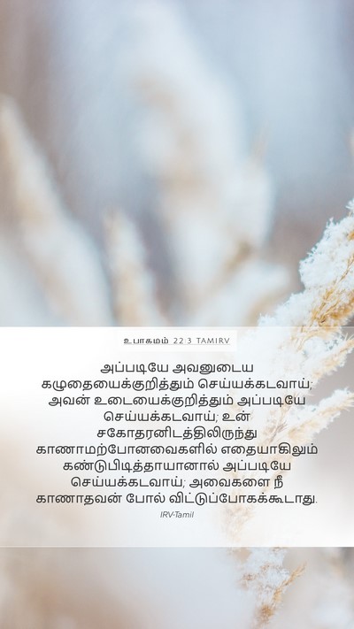 உபாகமம் 22:3 TAMIRV Bible Verse Image