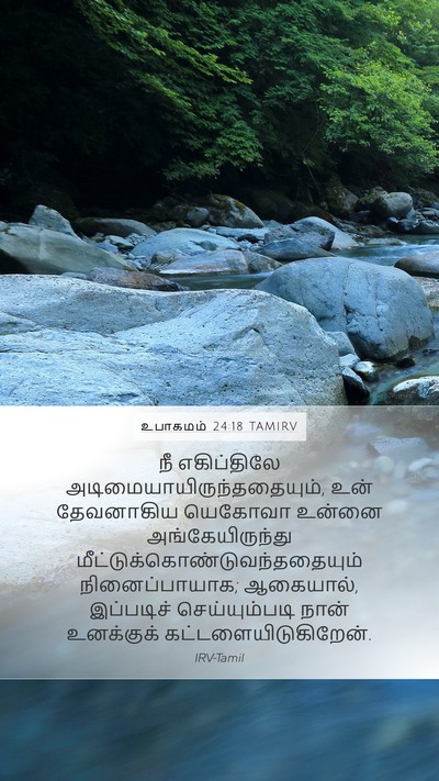 உபாகமம் 24:18 TAMIRV Bible Verse Image