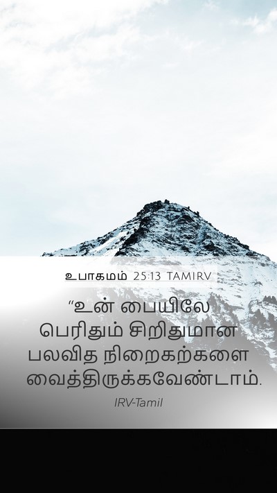உபாகமம் 25:13 TAMIRV Bible Verse Image