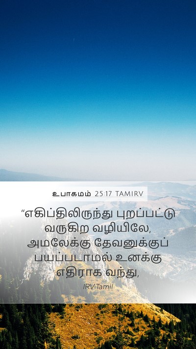 உபாகமம் 25:17 TAMIRV Bible Verse Image