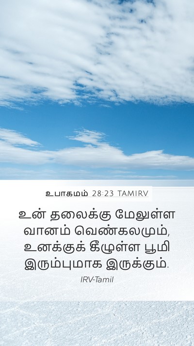 உபாகமம் 28:23 TAMIRV Bible Verse Image