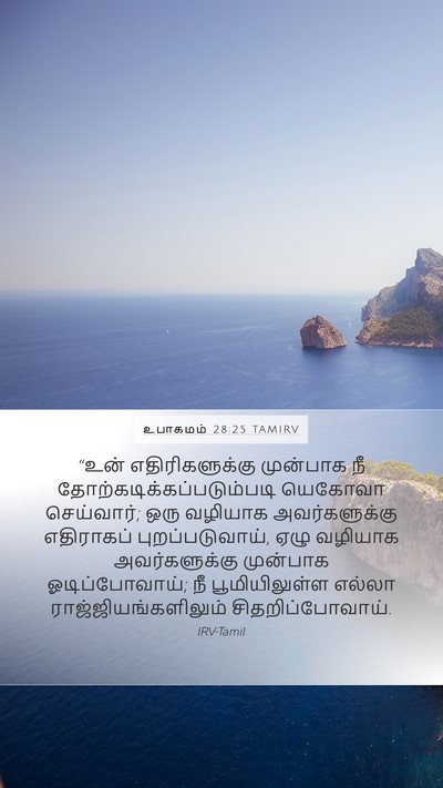 உபாகமம் 28:25 TAMIRV Bible Verse Image