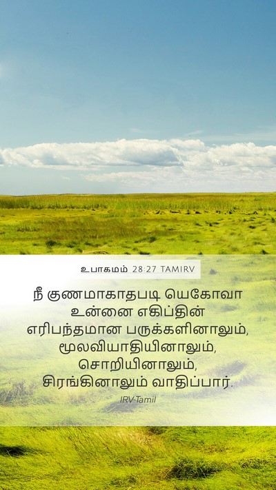 உபாகமம் 28:27 TAMIRV Bible Verse Image