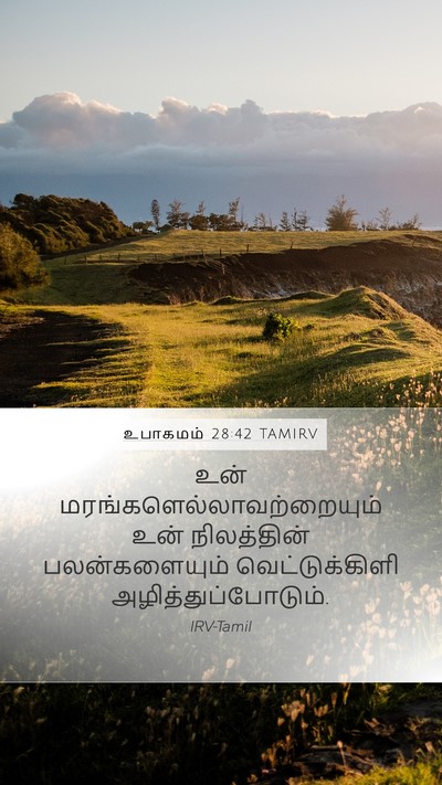உபாகமம் 28:42 TAMIRV Bible Verse Image