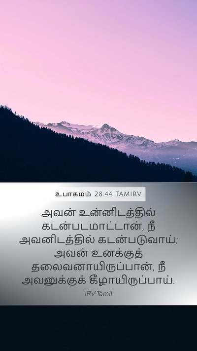 உபாகமம் 28:44 TAMIRV Bible Verse Image