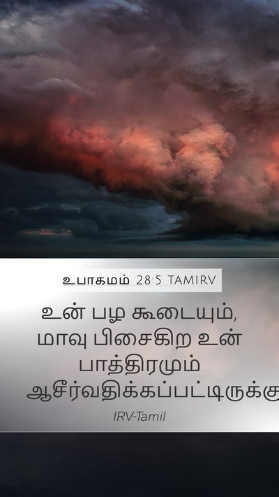 உபாகமம் 28:5 TAMIRV Mobile Phone Wallpaper - உன் பழ கூடையும், - Mobile Bible Verse Wallpaper
