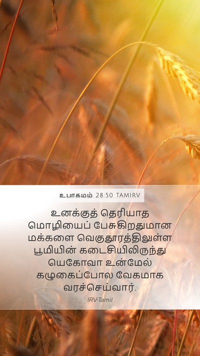 உபாகமம் 28:50 TAMIRV Bible Verse Image