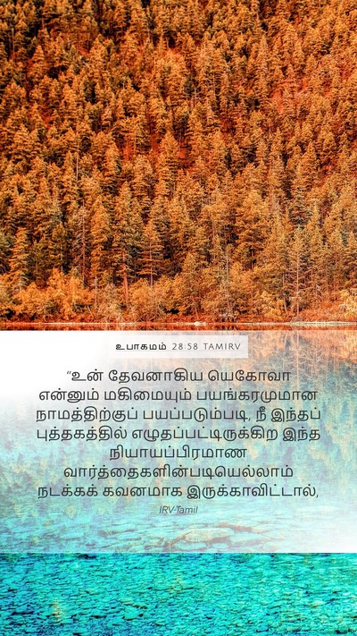 உபாகமம் 28:58 TAMIRV Bible Verse Image