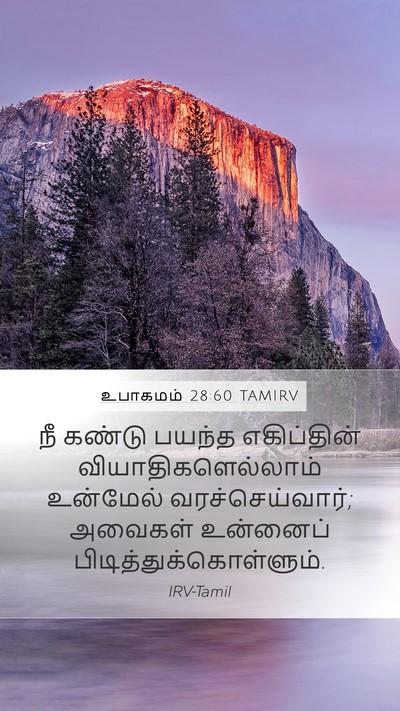 உபாகமம் 28:60 TAMIRV Bible Verse Image