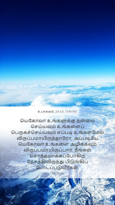 உபாகமம் 28:63 TAMIRV Bible Verse Image
