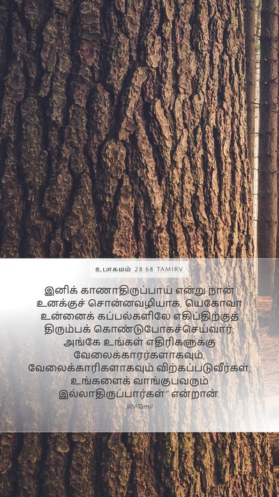 உபாகமம் 28:68 TAMIRV Bible Verse Image