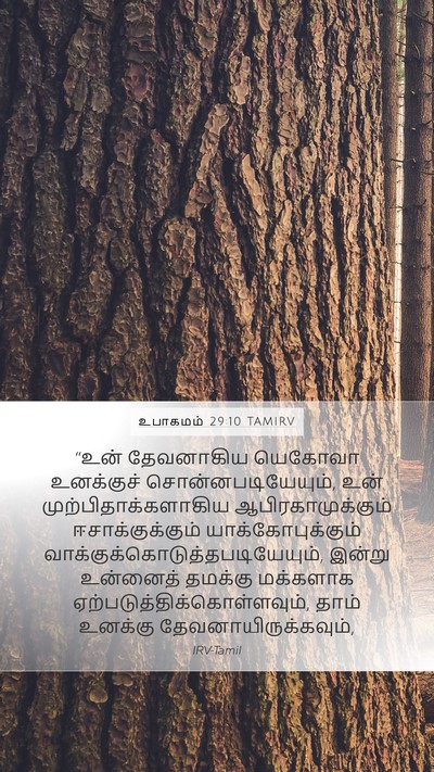 உபாகமம் 29:10 TAMIRV Bible Verse Image