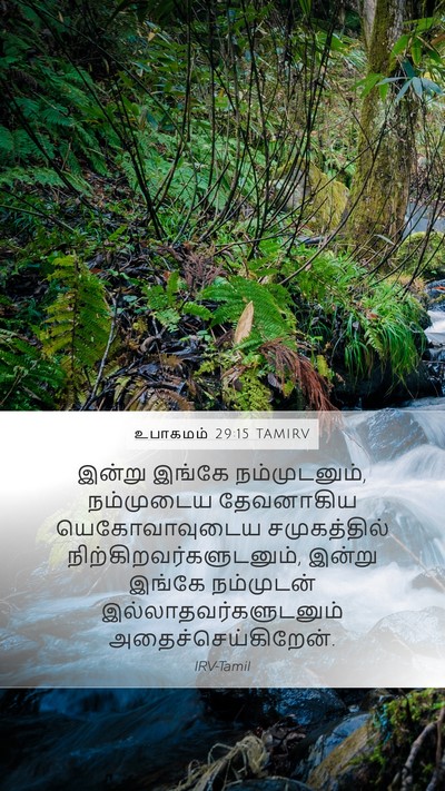 உபாகமம் 29:15 TAMIRV Mobile Phone Wallpaper - இன்று இங்கே - Mobile Bible Verse Wallpaper