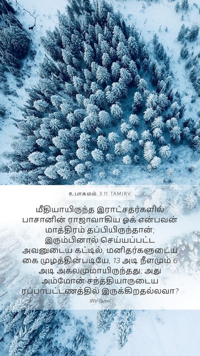 உபாகமம் 3:11 TAMIRV Bible Verse Image