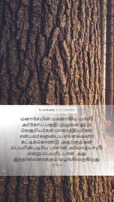 உபாகமம் 3:14 TAMIRV Bible Verse Image