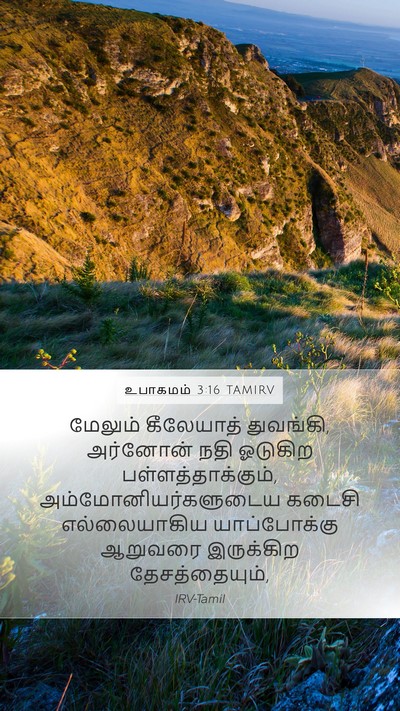 உபாகமம் 3:16 TAMIRV Bible Verse Image