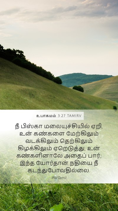 உபாகமம் 3:27 TAMIRV Bible Verse Image