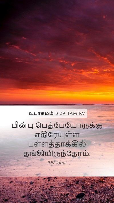 உபாகமம் 3:29 TAMIRV Bible Verse Image