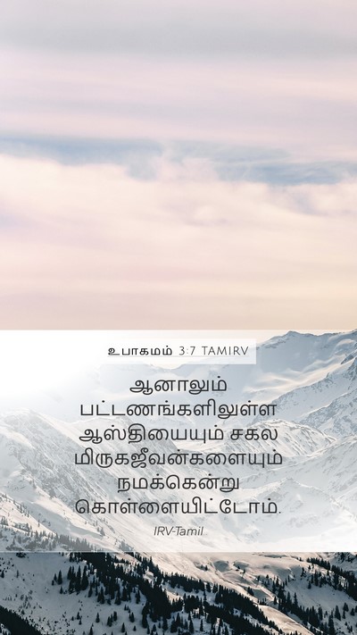 உபாகமம் 3:7 TAMIRV Mobile Phone Wallpaper - ஆனாலும் - Mobile Bible Verse Wallpaper