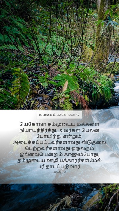 உபாகமம் 32:36 TAMIRV Bible Verse Image
