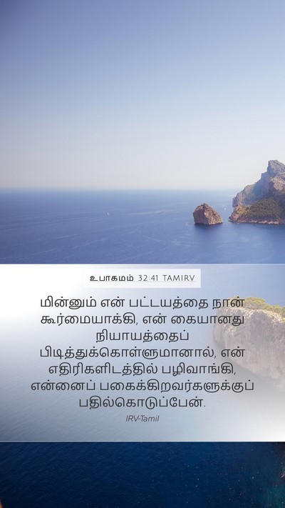 உபாகமம் 32:41 TAMIRV Bible Verse Image