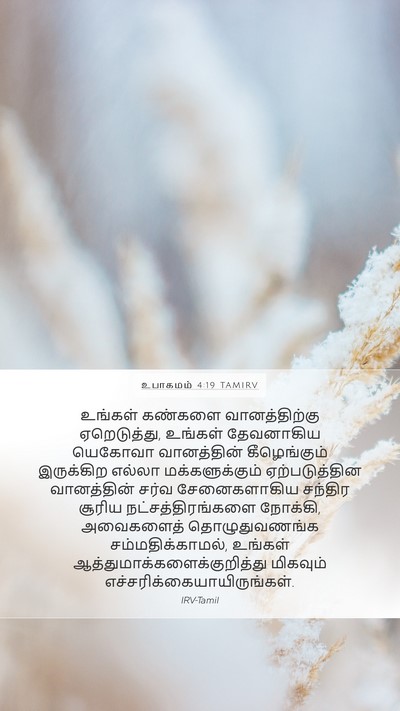 உபாகமம் 4:19 TAMIRV Bible Verse Image