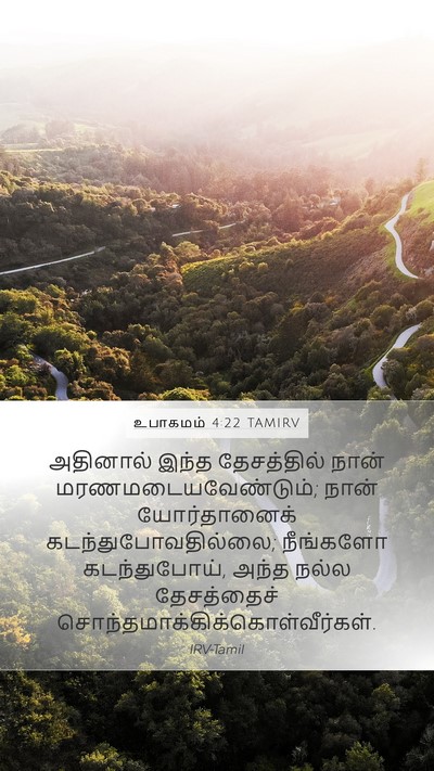 உபாகமம் 4:22 TAMIRV Mobile Phone Wallpaper - அதினால் இந்த - Mobile Bible Verse Wallpaper