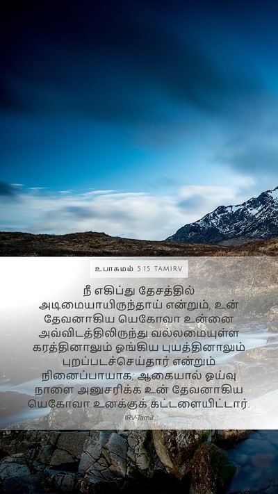 உபாகமம் 5:15 TAMIRV Mobile Phone Wallpaper - நீ எகிப்து - Mobile Bible Verse Wallpaper
