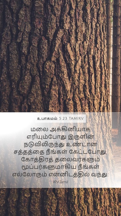 உபாகமம் 5:23 TAMIRV Bible Verse Image