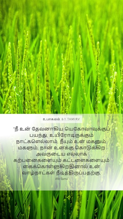 உபாகமம் 6:1 TAMIRV Bible Verse Image
