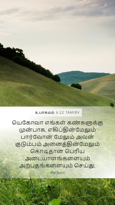 உபாகமம் 6:22 TAMIRV Bible Verse Image