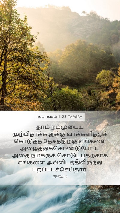உபாகமம் 6:23 TAMIRV Mobile Phone Wallpaper - தாம் நம்முடைய - Mobile Bible Verse Wallpaper