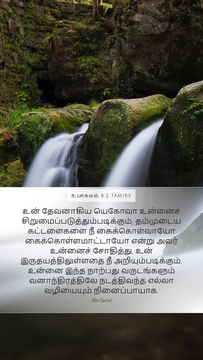 உபாகமம் 8:2 TAMIRV Bible Verse Image