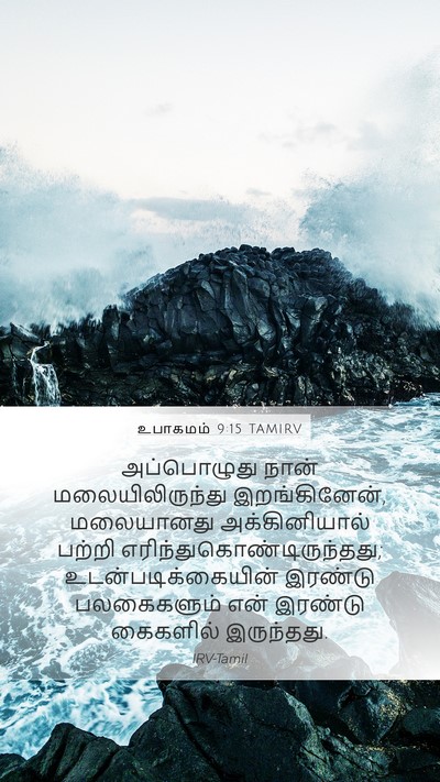 உபாகமம் 9:15 TAMIRV Bible Verse Image