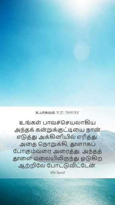 உபாகமம் 9:21 TAMIRV Bible Verse Image