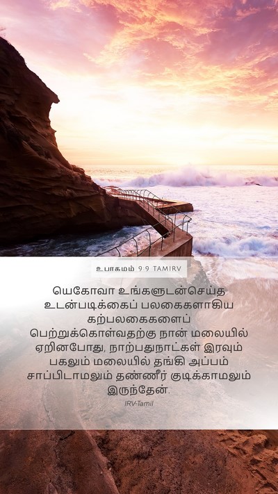 உபாகமம் 9:9 TAMIRV Bible Verse Image