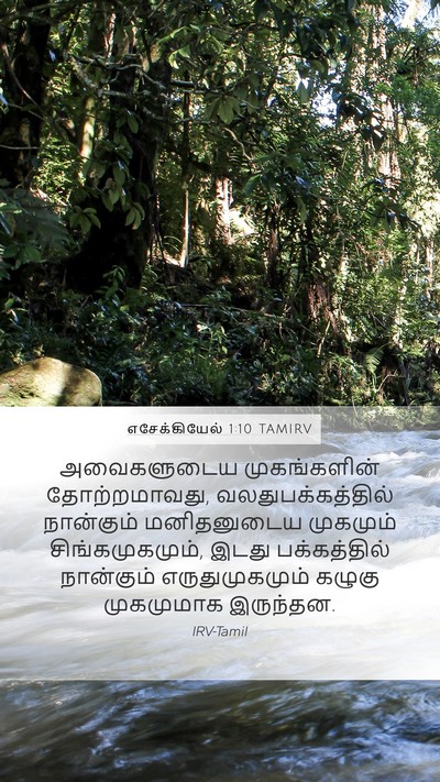 எசேக்கியேல் 1:10 TAMIRV Bible Verse Image