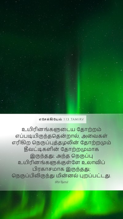 எசேக்கியேல் 1:13 TAMIRV Bible Verse Image